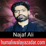 https://humaliwalaazadar.blogspot.com/2019/08/najaf-ali-nohay-2020.html