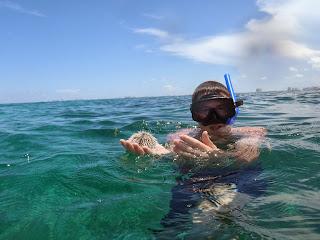 Me holding a sea urchin in Mexico