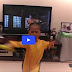 [VIDEO] 5-Year Old Boy Performs Bruce Lee's Fight Scene in Game of Death