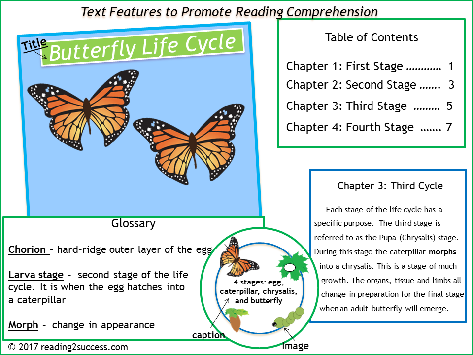 Reading2success Text Features Are Tools To Promote