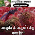 आयुर्वेद के अनुसार डेंगू विषाणु 