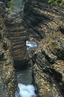 Canyon, Watkins Glen, New York 