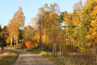 Autumn Afternoon