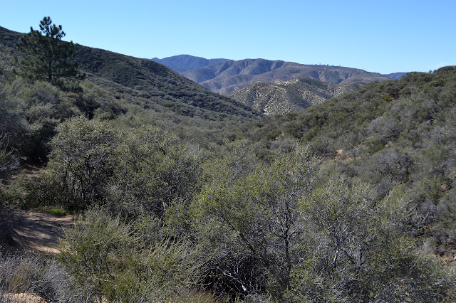 trail through the chaparral