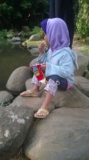 Menatap Kolam Ikan