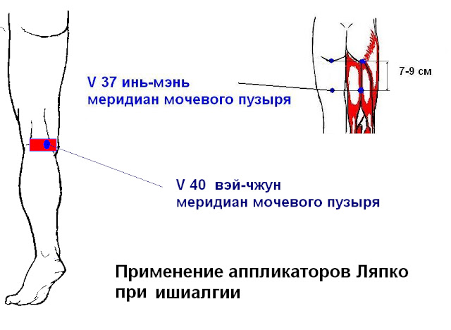 Пульсация артерий стопы. Артерии подколенной ямки. Артерия под коленом.