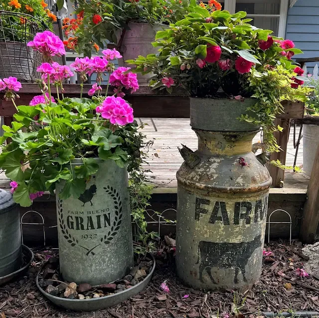Photo of annuals in a chicken feeder and milk can funnel planter.