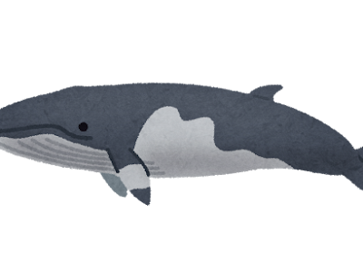 最高のコレクション かわ��い フリー クジラ イラス�� 461144-イラスト 無料 かわ���い フリー