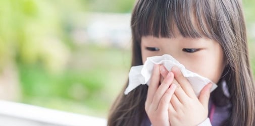Meredakan Sakit Flu dan Batuk