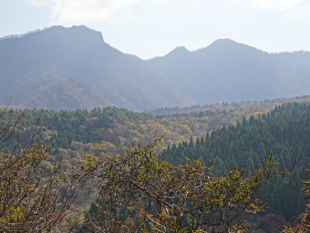 大山の香取の山道からの眺望