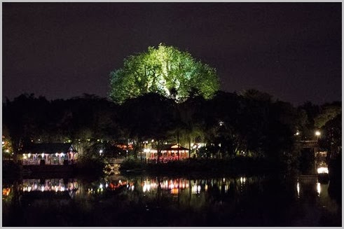 Tree at Night2 2013