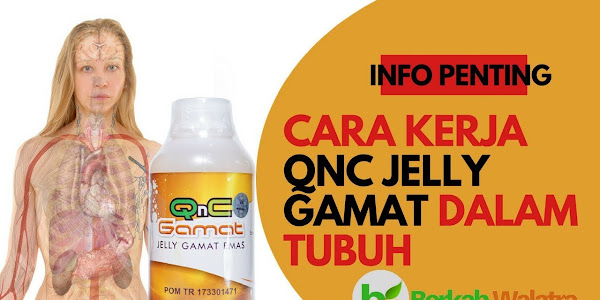 Manfaat, Khasiat Dan Cara Pakai Qnc Jelly Gamat