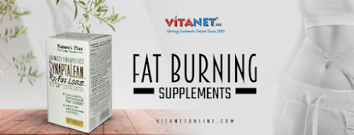 Fat Burning Supplements