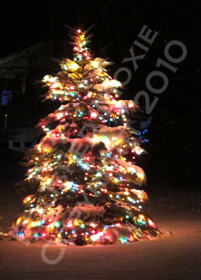 Picture of tree decorated in lights and covered in snow