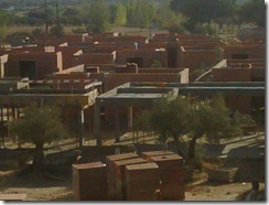 IMG00698-20111007-1005