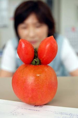 Tomato shaped like a rabbit's head