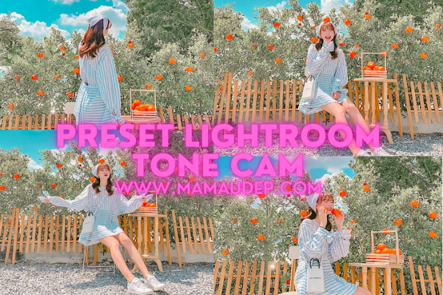 Preset Lightroom tone cam hồng