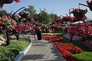 17+ Jardin Des Fleurs A Abu Dhabi, Terkini!