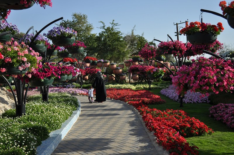 17+ Jardin Des Fleurs A Abu Dhabi, Terkini!