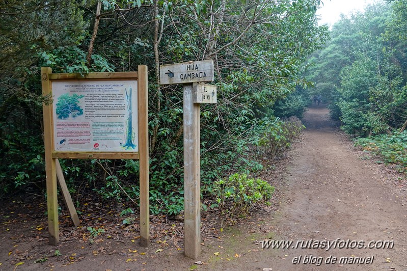 Sendero de los Sentidos - Sendero de los Enigmas