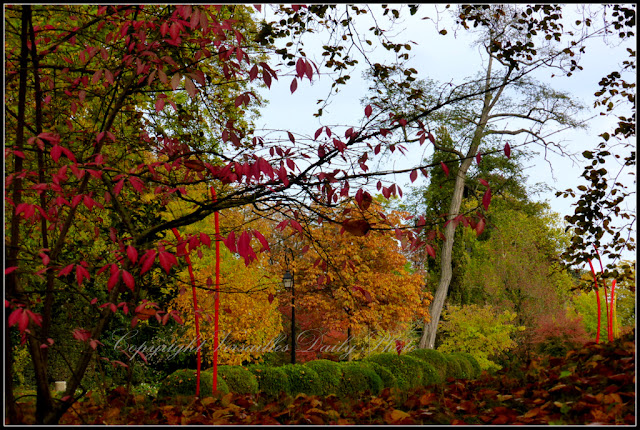 Automne domaine de Madame Elisabeth Versailles