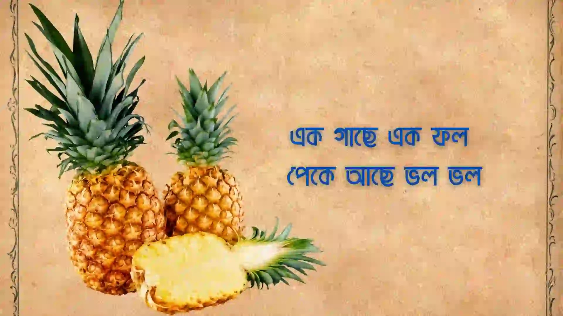 হাসির ধাঁধা উত্তর সহ ছবি