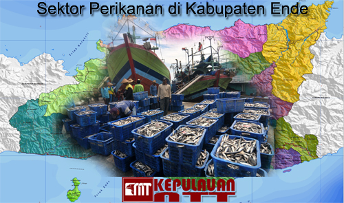 Sektor Perikanan di Kabupaten Ende