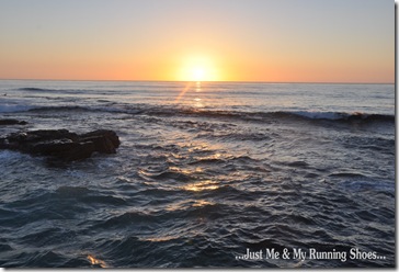 La Jolla 3