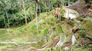 [http://FindWisata.blogspot.com] Ayunan Tebing Eksrtim Terrace River Pool Swing Bali 