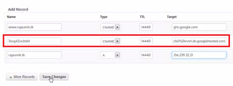 Cara Terbaru Custom Domain Blogger dan Setting DNS Dot TK