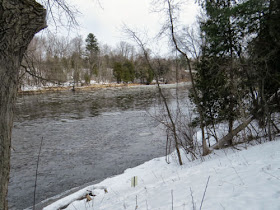 Muskegon River