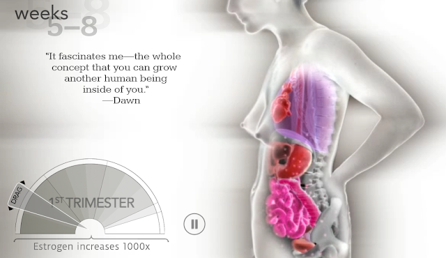 https://www.msichicago.org/fileadmin/assets/online_science/games/make_room/v2/mrfb.html