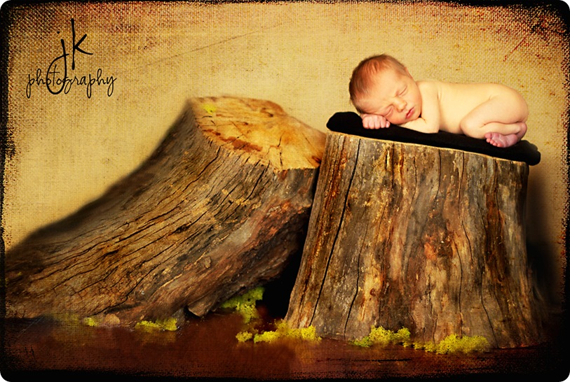 baby Maddox  log 8407 weblogo