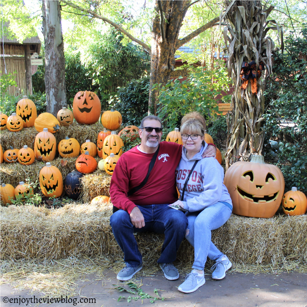 Man & woman sitting on a hay bale in front of a display of jack-o-lanterns