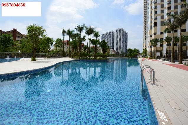 Mulberry Lane – Bể bơi đạt chuẩn quốc tế đã đi vào hoạt động