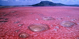 "Danau Natron, Tanzania"