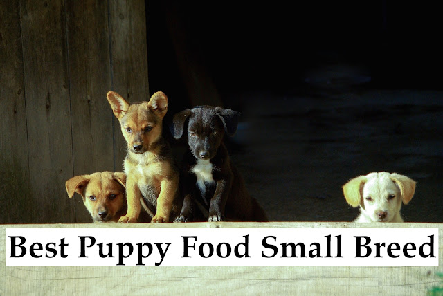 Best Puppy Food Small Breed