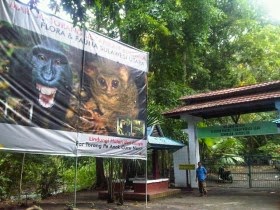 Cagar Alam Tangkoko