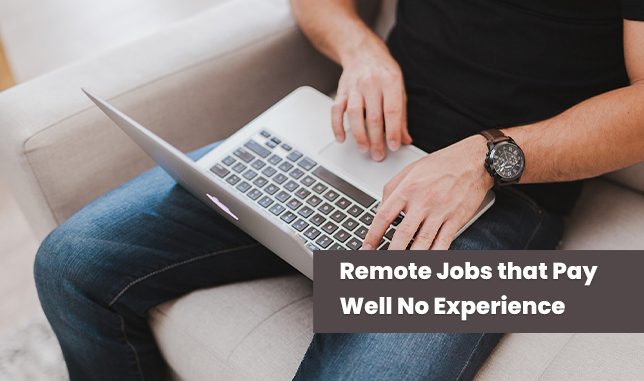 Remote Jobs that Pay Well No Experience