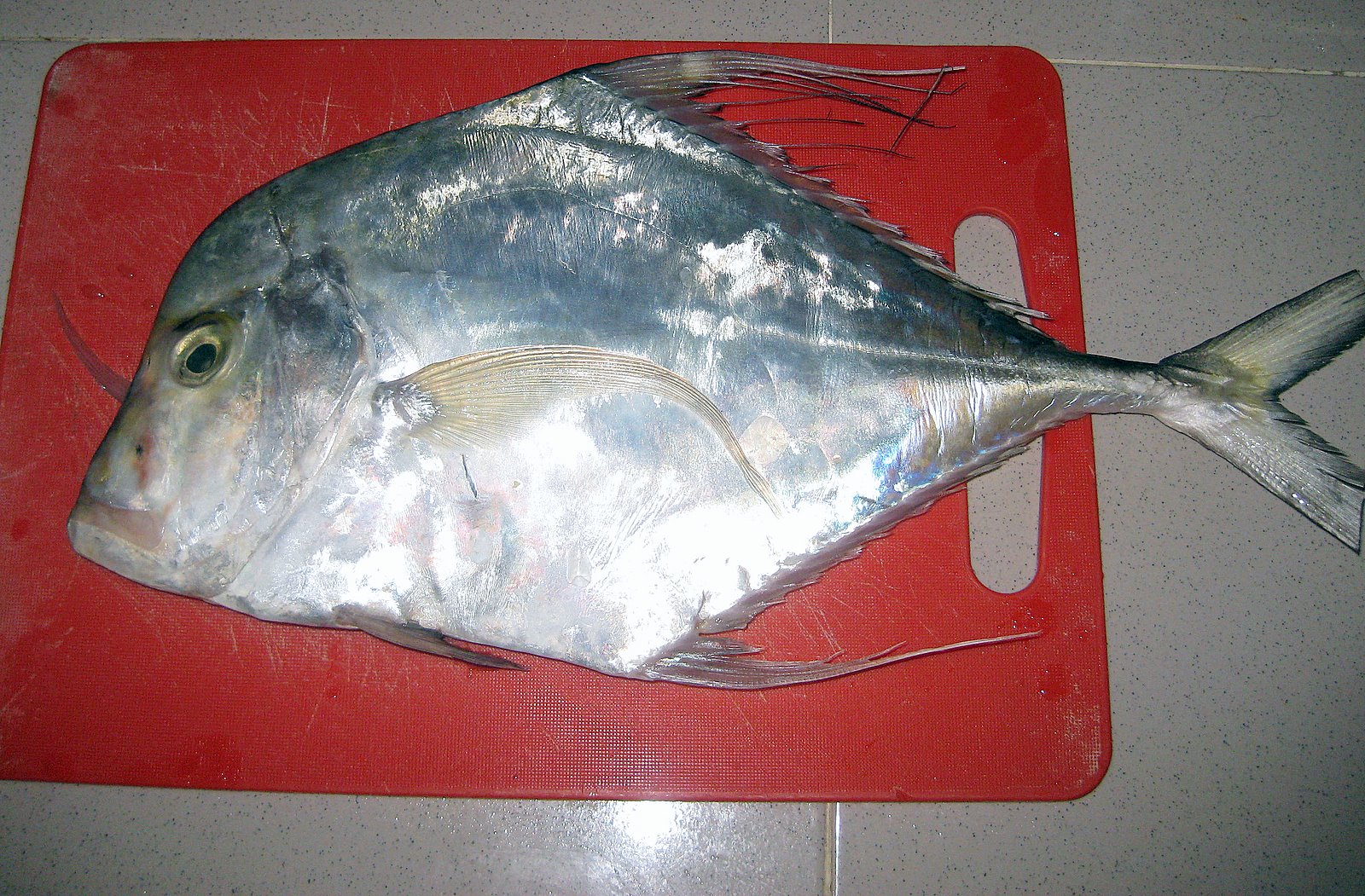 Resepi Ikan Kerapu Sedap - Recipes Pad l
