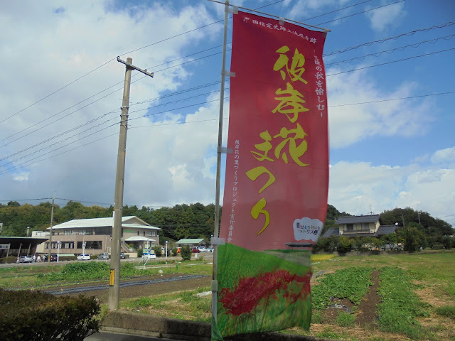 彼岸花まつりの旗が立ててありました