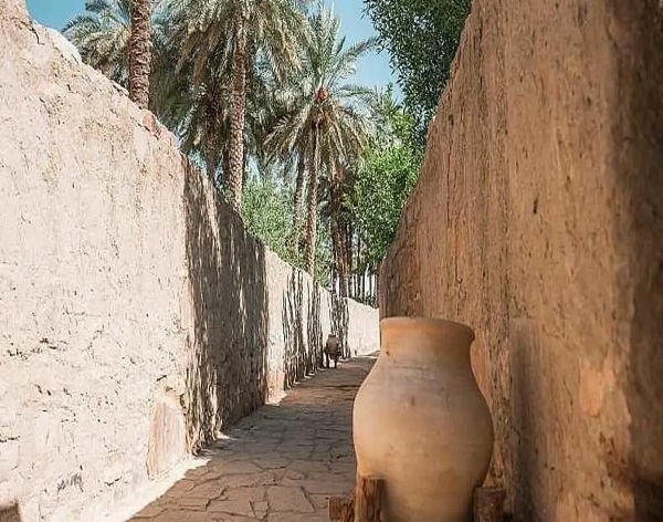 إدراج أكثر من 1100 موقع تراثي جديد خلال عام 2024 في السجل الوطني للتراث العمراني