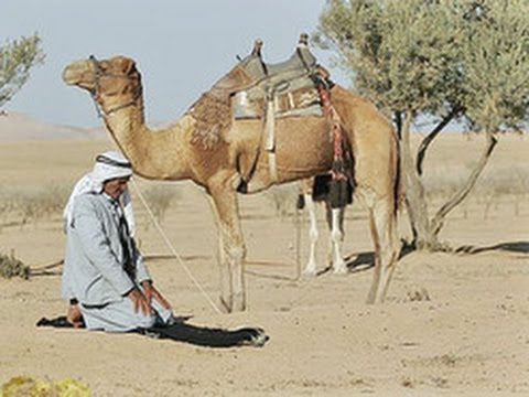 القضاء العرفي / الخمسة عند البدو