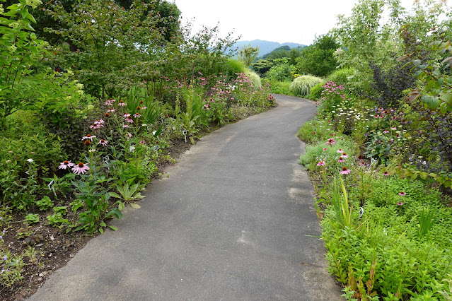 鳥取県西伯郡南部町鶴田　とっとり花回廊　グレイスガーデン