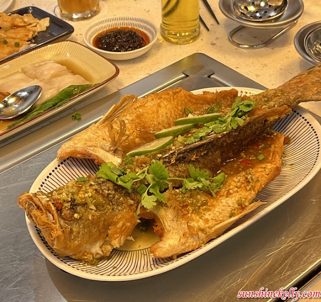 Review: dodo Dim Sum and Steamboat, Food, dodo Dim Sum and Steamboat, Bukit Jelutong, Staemboat Review, Halal Dim sum, dim sum review in kl