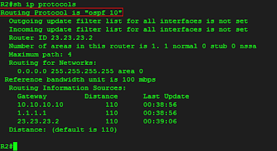 show ip protocols