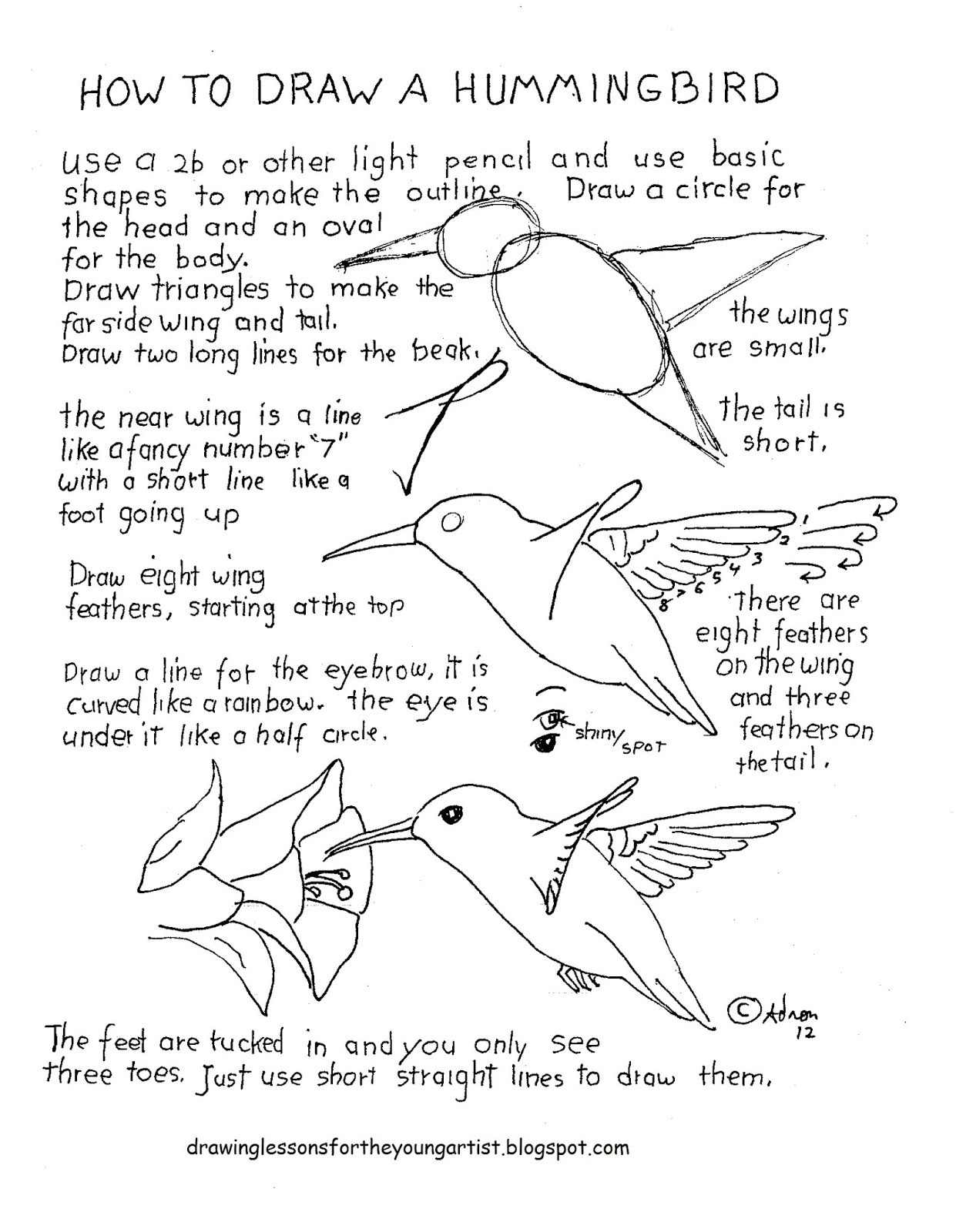 How to Draw Worksheets for The Young Artist: How To Draw A Hummingbird