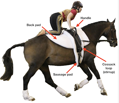 An image of a horse cantering with a vaulter kneeling on his back. Four parts of the tack are labelled with arrows: the back pad (covering the front half of the horse's back), the sausage pad (which goes under the vaulting roller), one of the handles on the roller and one of the Cossack loop/stirrups.