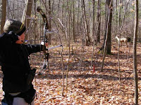 3d Bow Targets1
