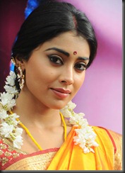 shriya_saran_exclusive_photo_in_saree